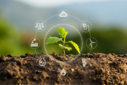 młoda roślinka wyrasta z ziemi w otoczeniu białych symboli oznaczających obszary audyt&oacute;w środowiskowych Interzero