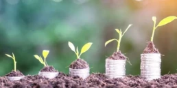 roślinki wyrastające na stosikach monet, kt&oacute;re symbolizują oferty pracy w kontrolingu i finansach